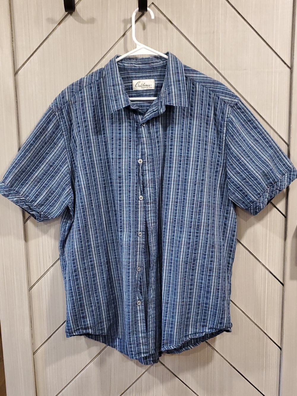 Casual Blue Striped Short-Sleeve Button-Down Shirt